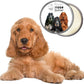 The Blissful Dog English Cocker Spaniel Unscented Nose Butter - Dog Nose Butter, 8-Ounce
