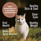 Primal Freeze Dried Raw Cat Food Nuggets Chicken & Salmon, Complete & Balanced Meal or Topper, Premium, Healthy, Grain Free, High Protein Raw Cat Food with Probiotics (14 oz)