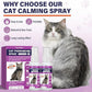 Cat Calming Pheromone Spray, 2 Pack, Calming Spray for Cat Anxiety Relief, Reduce Stress, Hiding & Scratching Furniture - During Travel, Fireworks, Thunder, 60 ML