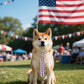 PET SHOW 10 Pack 4th of July Dog Ties Neckties for Large Medium Dogs Adjustable Holiday Grooming Accessories Patriotic Neck Ties Bowties Girl Boy Pets Memorial Day Holiday Party Costumes