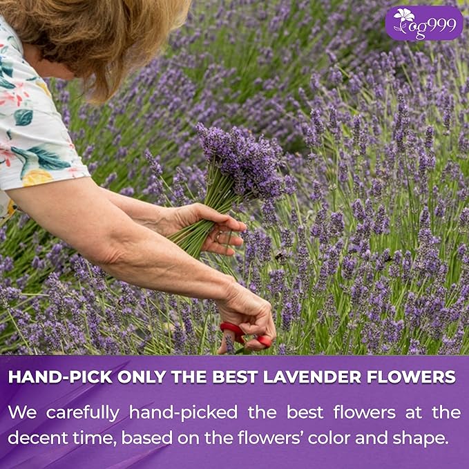 120 Lavender Flower Tea Bags, 100% Natural & Pure from Lavender Flowers. Loose Flower Lavender Herbal Tea. Lavender Flower Tea. No Sugar, No Caffeine, No Gluten, Vegan.