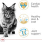 Royal Canin Maine Coon Breed Adult Dry Cat Food, 14 lb bag