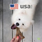 Benebone Wishbone Durable Dog Chew Toy for Aggressive Chewers, Real Bacon, Made in USA, Tiny