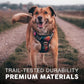 Embark Adventure Dog Harness, No-Pull Reflective Trim Dog Harness for Small, Medium & Large Dogs - Heavy Duty Oxford, 2 Leash Clips & Gel Lined Handle. Soft & Padded Puppy Dog Vest for Any Breed