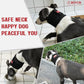 Adjustable Dog Neck Brace for Neck Pain & Injury Relief - Soft & Comfortable Support Collar for Dogs for Recovery After Surgery or Injury(Small)