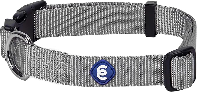 Blueberry Pet X-Small Adjustable Boy Dog Collar | for Male Dog, Durable & Quick Release for Pet Owners