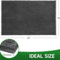 Dog Door Mat Indoor Entrance, 48" x 30" Absorbent Quick-Drying Mud Rugs, Non-Slip Door Rugs for Entryway Indoor Washable, Soft Chenille Dog Mat for Muddy Paws