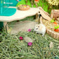 Niteangel Natural & Soft Hamster Bedding Mate Small Animal Habitat Decor for Syrian Dwarf Hamsters Gerbils Mice Degus Bunny or Other Small-Sized Pet