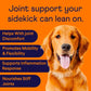 Finn Hip and Joint Supplement for Dogs | Glucosamine, Chondroitin & MSM for Joint and Mobility Support | with Turmeric, BioPerine and B-Vitamins | 90 Soft Chews