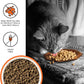 BIXBI Liberty Dry Food Chicken Recipe for Cats, 10lb