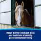 Farnam Gastric Health Pellets, Daily Gut and Digestive Health Supplement for Horses Helps Maintain a Healthy Gastrointestinal Tract and Gut Function