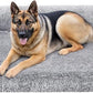 Feandrea Dog Bed, Orthopaedic Dog Sofa Bed for Large Dogs, Waterproof Ped Bed with Removable Washable Cover, 48 x 33.5 x 9.5 Inches, Gray Ombré UPGW234G01