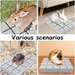 Hamiledyi 6PCS Rabbit Scratching Pads Bunny Lava Grinding Claw Pads Small Animal Foot Pads Hamster Scratch Board Chew Toys for Gerbil Chinchilla Hedgehog Guinea Pig Cage Accessories