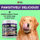 Hip and Joint Supplement Dogs with Glucosamine for Dogs + Chondroitin, Turmeric, Hyaluronic Acid, MSM, Salmon Oil, Collagen, Vitamin C, Omega 3 Senior Dog Supplements Beef Flavor - 1Pack