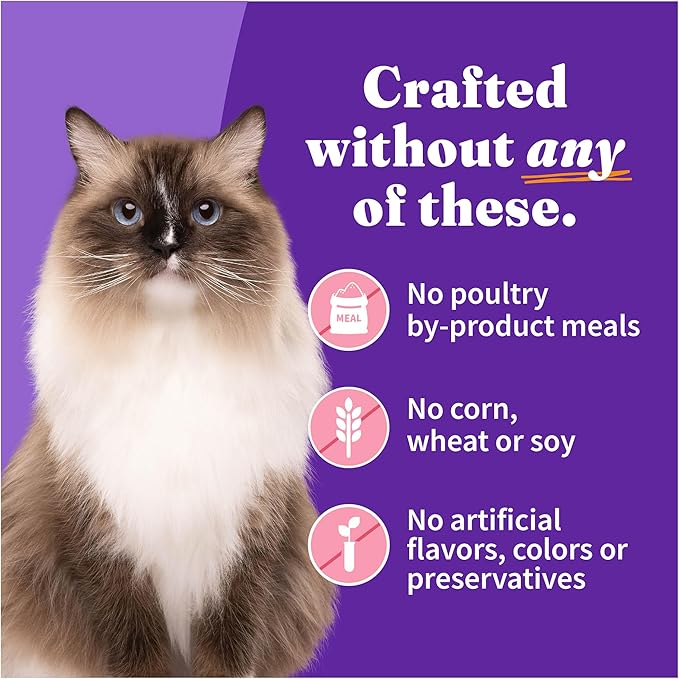 Halo Purely For Pets Halo Indoor Wet Cat Food, Grain Free, Salmon Pate, 5.5 Ounce (Pack of 12)