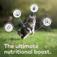 ZIWI Peak Air-Dried Cat Food – Venison - All Natural, High Protein, Grain Free, Limited Ingredient w/ Superfoods (14oz)