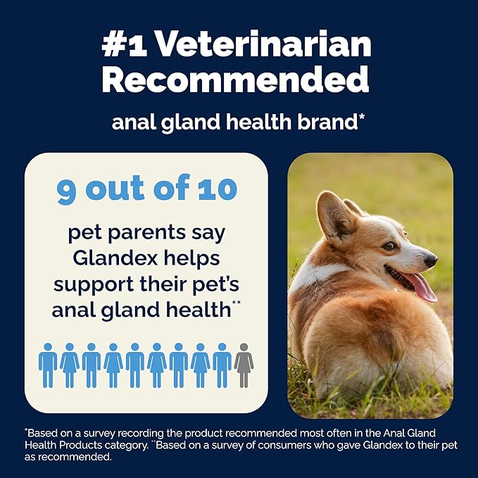Glandex Dog Fiber Supplement Powder for Anal Glands with Pumpkin, Digestive Enzymes & Probiotics - (Regular or Advanced Strength) - Boot The Scoot (4.25 oz, Advanced Strength Duck & Bacon)