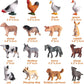 16Pcs Small Animals Figures, Realistic Farm Animals Toys for Cupcake Toppers, Learning Educational Toys, Birthday Party Favors Gift for Kids