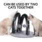 Cat Arch Self Groomer Massager, Kitty Grooming Brush with 2 Brushes and Heavy Plush Base, Cat Face and Back Scratchers, Scratching Post for Indoor and Outdoor Cats with 2 Plush Balls
