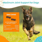 Nootie Glucosamine for Dogs - 250 ct - Hip and Joint Soft Chews Supplement for Dogs - Daily Dog MSM Chondroitin Chews with Turmeric - Joint Care Vitamins for All Breeds and Sizes USA