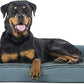 Furhaven Orthopedic Dog Bed for Large Dogs w/ Removable Bolsters & Washable Cover, For Dogs Up to 95 lbs - Plush & Suede Sofa - Deep Pool, Jumbo/XL
