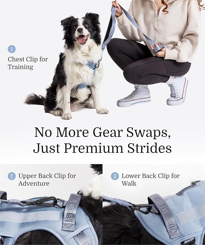 2025 New Edition, Fei & Eve MagEase Dog Harness - 3-Second Magnetic Buckles | 3-Point No-Pull Control | Heavy-Duty 900D Nylon | Dual Safety Handles | Breathable Mesh | Adjustable Fit | Large, Blue