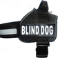 Doggie Stylz Blind Dog Vest Harness with Removable Patches and Reflective Trim. Comes with 2 Blind Dog Reflective Hook and Loop Patches. Measure Dogs Girth Before Purchase (Girth 30”- 42" Black)