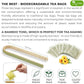 TOG999, Premium 200 Moringa Leaf Tea Bags, 100% Natural & Pure from Moringa Leaves. Loose Leaf Moringa Herbal Tea. Moringa Leaf Tea. No Sugar, No Caffeine, No Gluten, Vegan.