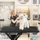 Electric Pet Grooming Table for Large Dogs - Professional Heavy Duty Height Adjustable Pet Grooming Station with Anti Slip Tabletop, Two Nooses & Tool Organizer, Maximum Capacity Up to 250 lbs Black