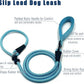 Slip Lead Dog Leash，Strong Nylon Rope Leash and Padded Handle,No Pull Outdoor Walking Training Lead for Small Medium Large Dogs(Light Bule, 1/2"×6ft)