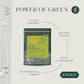 Luxmi Estates - Pure Matcha - Ceremonial Grade Matcha Powder - 50g | Organic, Stone-Ground Matcha Tea, Rich in Antioxidants | Authentic Zen Tea Experience