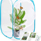 RESTCLOUD Insect and Butterfly Habitat Cage Terrarium Pop-up 24 Inches Tall