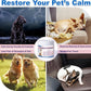 L-Theanine Supplement for Cats & Small Dogs – Helps Keep Pets Calm & Relaxed – for Small, Medium & Large Dogs & All Cats – 100g Powde