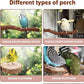 5PCS Bird Perch Stand Natural Wooden Parrot Stand Branch,3 Grape Wood Perch,2 Platform,Paw Grinding Fork Parakeet Chewing Stick Exercise Training Branches for Cockatiels,Small Birds