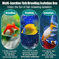 2 Pcs Breeder Box for Fish Tank Aquarium Breeder Separation Net Breeding Box with Suction Cup for Small Fish Shrimp Clownfish Guppy (White,L)