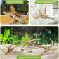 Tfwadmx Aquarium Driftwood, 7-11" Spider Wood Sinkable Driftwood for Fish Tank Decorations Natural Branches for Reptile, Assorted Spider Wood Branch Pack of 3
