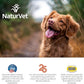 NaturVet All-in-One Dog Supplement - for Joint Support, Digestion, Skin, Coat Care – Dog Multivitamins with Minerals, Omega-3, 6, 9 – Wheat-Free Vitamins for Dogs – 120 Soft Chews