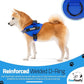 PawPawify Custom No Pull Dog Harness with Name and Phone Number, Heavy Duty Personalized Pet Vest to Prevent Tugging, Pulling, or Choking, Training and Walking (New Blue, L (40-60 LBS))