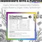 InClover Daily Multi Cat & Dog Vitamin - Canine & Feline Vitality Powder - Immunity Boost with Organic Blueberry, Seaweed, Turkey Tail Mushroom & Postbiotic Fibers - Critical Immune Defense Supplement