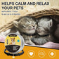 4 Pcs Cat Calming Collar Adjustable Lavender Scent Relaxing Cat Collar with 2 Pendant for Puppies Reduce Stress Aggression Anxious, up to 15 Inches(Black)