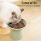 Extra Wide Elevated Ceramic Cat Food Bowl - 6.2" Shallow Dish for Whisker Fatigue Relief, 5" Height for Easy Feeding, Lead & Cadmium Free, Durable Raised Cat Food Bowls, Sage Green
