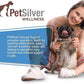 PetSilver Immune Support, Natural Nebulizer Solution, Promotes Respiratory Health in Cats & Dogs, Allergies, Sinus & Cough Treatment, Easy to Use, Patented Chelated Silver, Made in The USA, 16 fl oz