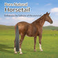 Horse Tail Extension with Braided Horsehair Loop, Blunt Cut Bottom, 3/8 lb, 28-30 inches (dark gray)