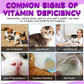 Cat Multivitamin, 15 in 1 Cat Vitamins Liquid Drops, Supports Immune Health, Promotes Joint, Skin and Coat Health, Cats Vitamin and Supplements with Glucosamine & Cranberry 2 fl oz