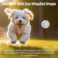 Wicked Ball - Smart Interactive Dog Ball for Solo Play - Electronic Self-Moving Dog Toys for Boredom - Rechargeable, Motion Activated - 35"