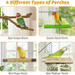 kathson 5pcs Natural Parrot Perch for Cage Wooden Bird Perches Grape Bird Stick Parakeet Climbing Standing Branches Toy Chewable Cage Accessories for Small Budgies Cockatiels Lovebirds Budgies