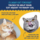 Under The Weather Pet | Ready Cal for Cats 100cc | High Calorie Supplement | Cat Weight Gainer and High Calorie Booster | 10 Vitamins, 7 Minerals & Omega Fatty Acids (for Cats 100cc)