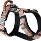 MADE TO ROAM Premium Explorer Harness - Y-Shaped Dog Harness with Adjustable Durable Nylon, Soft Padding, Metal Buckles and Leather Handle for Small, Medium, Large Dogs (Utah Glow, Size 3)