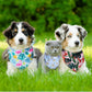Amylove 120 Pcs Halloween Dog Bandanas Bulk Holiday Triangle Dog Pack Puppy Kerchief Bandana Adjustable Pet Scarf for Pet Cat Costume Accessories Decor(Flower)