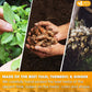 FreshDrinkUS, Premium 35 Tulsi Turmeric Ginger Tea Bags, 100% Natural & Pure from Tulsi Holy Basil Leaves, Turmeric and Ginger. Made with Natural Material Tea Bags. No Sugar, No Caffeine, Vegan.